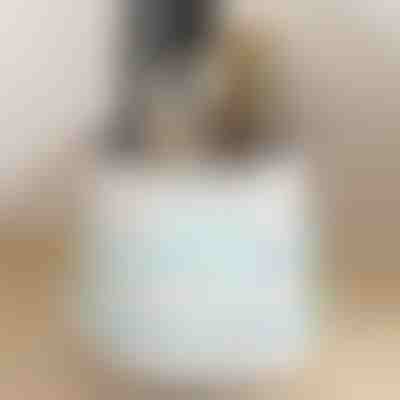 Organizator za kuhinjo | ORGTOPIA