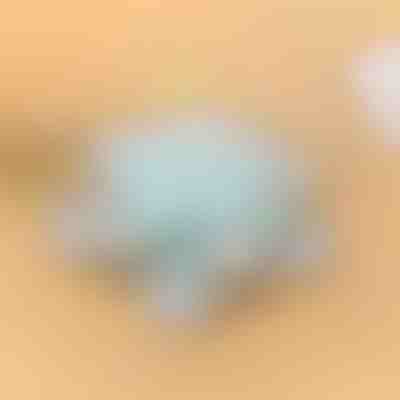 Vrtljiva posoda | SNACKARO