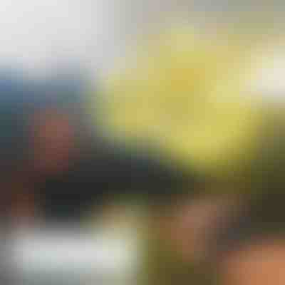 Mini dron z upravljanjem z roko FLASH