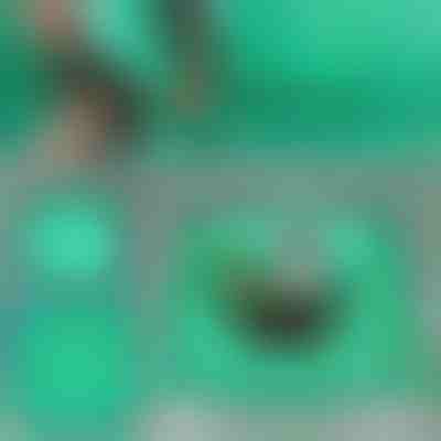 Podloga za presajanje rastlin | FLORAMAT