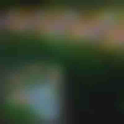 Zunanje solarne luči z metulji | FLUTIX