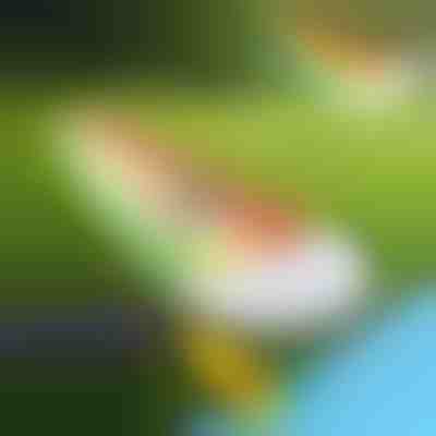 Napihljiv tobogan (465x80 cm) | REEFLY