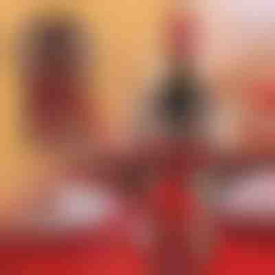 Plašč za steklenico vina | VINOPOUCH