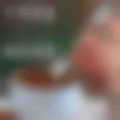 Božične dekorativne žlice (4 kosi) | XMASSPOON