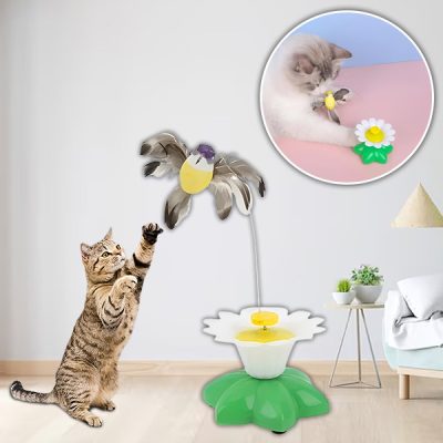 Električna igrača za hišne ljubljenčke | BIRDIETOY