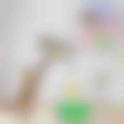 Električna igrača za hišne ljubljenčke | BIRDIETOY