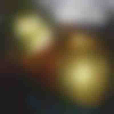 Božična dekoracija ognjemeta | LUMIBLAST