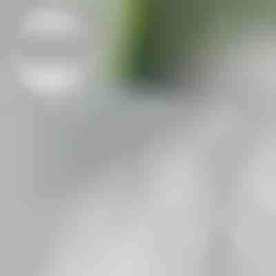 Magnetni kavlji (10 kosov) | MAGTASTI