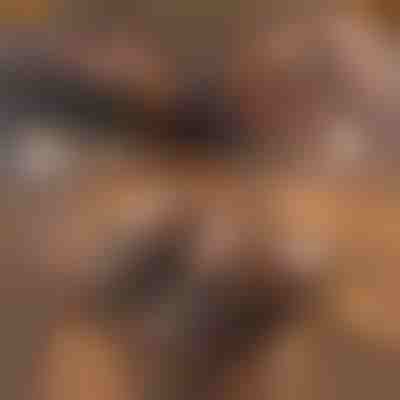 Usnjeni termo copati | NOBLEFEET