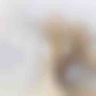 Posoda za shranjevanje hrane | DIVERINO