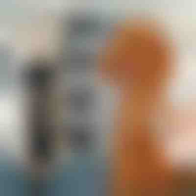 Komplet za striženje dlake hišnih ljubljenčkov | GULAMACHINE