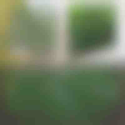 Dekorativna in praktična ograja za teraso in vrt | GREENFENCE