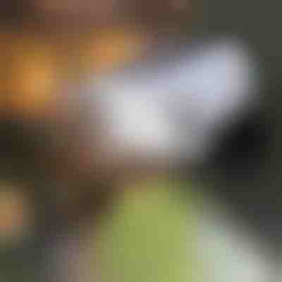 Solarna svetilka s senzorjem gibanja | LUMACAM