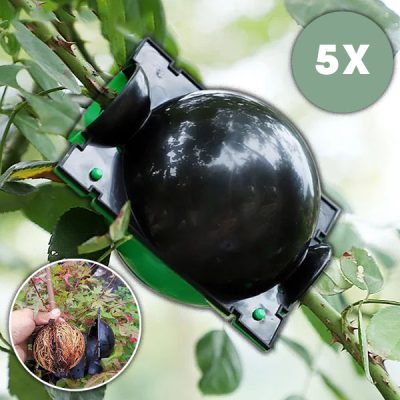 Posoda za razmnoževanje zdravih korenin (5 kosov) | | ROOTY