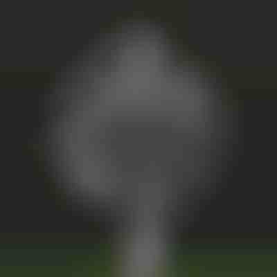 Vrtna čarobna kinetična vetrnica | WINDARA