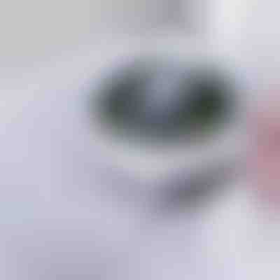 Filter za pomivalno korito | DRAINIPRO