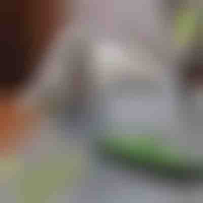 Mop za odstranjevanje dlak hišnih ljubljenčkov | PAWMOP