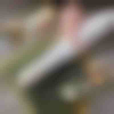 Enostaven domači valjček za suši | SUSHROLIO