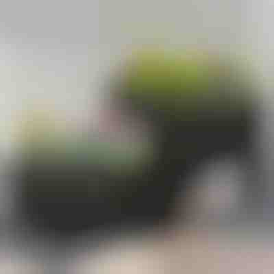 Vrtnarski zaboj za gojenje rastlin | BOTANITKO