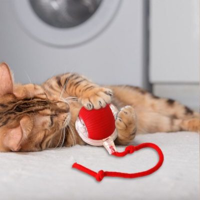 Igrača za hišne ljubljenčke, ki se premika na dotik | GATOPLAY