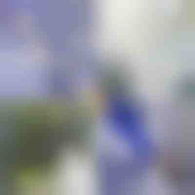 Priključek za visokotlačno čiščenje | WATERJET