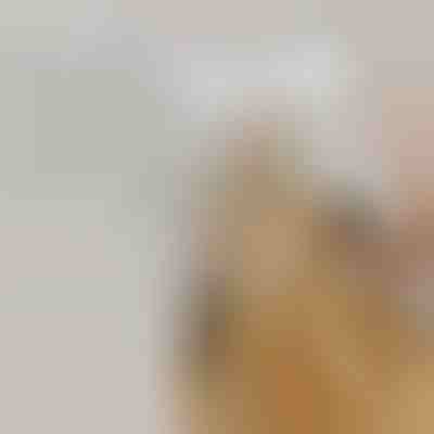 Akumulatorska parna krtača za hišne ljubljenčke za čiščenje dlake | GROOMSY