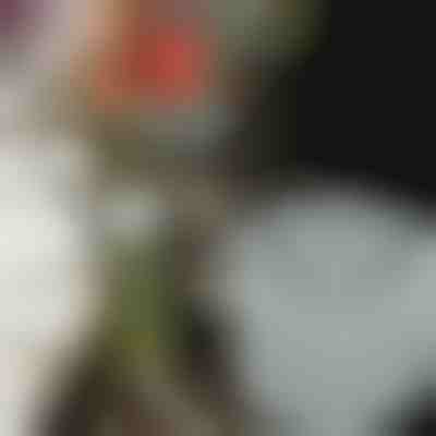 Držalo za cvetlice za osupljive aranžmaje (3 kosi) | VASEKA