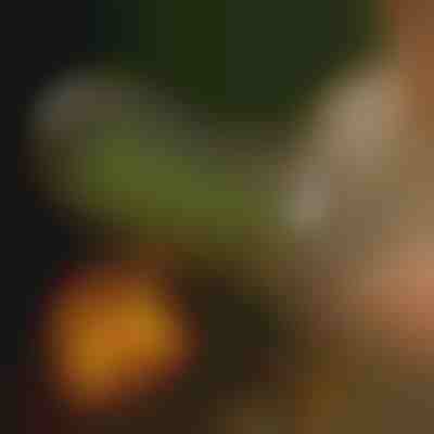 Vrtljiva žar košara | ROLOGRILL