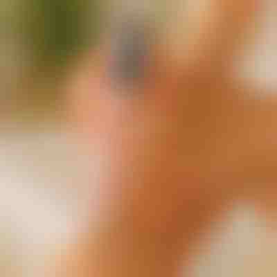 Gladka in mehka stopala | PEDIVIA