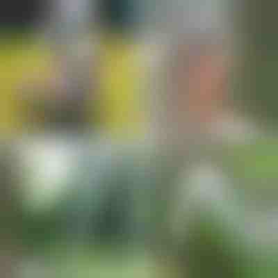 Prenosna prha | HYDROPORT