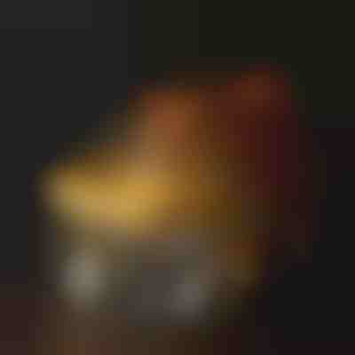 Fontana za hidracijo za hišne ljubljenčke | PETSPRINGLE