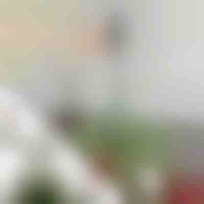 Nastavljiva stabilizacijska palica za vrh drevesa | STABLESTAR