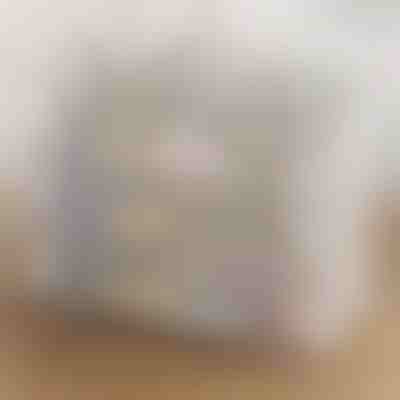 Prozorna zložljiva škatla za shranjevanje čevljev | DURASTOR