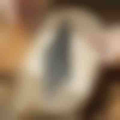 Rezila za vbodno žago za poravnane reze (5 kosov) | JIGSPRO