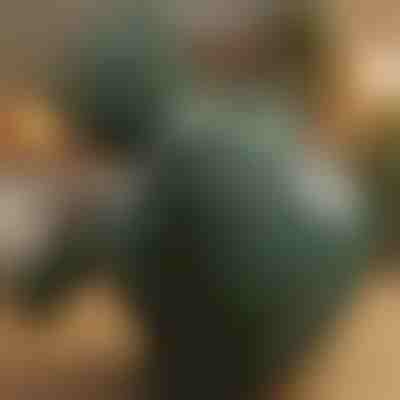 Grelni masažni aparat za shiatsu | MASSORA