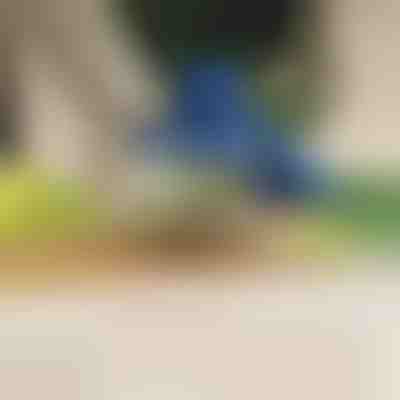 Električni lupilec sadja in zelenjave | PEELMATIC