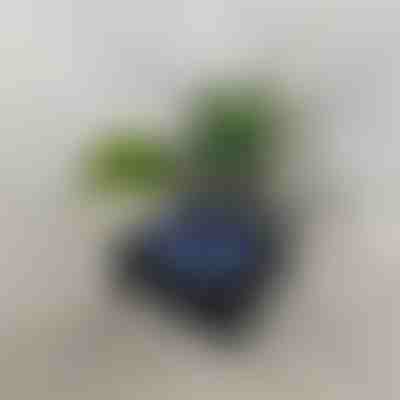 Retro zvočnik s projekcijo valov | VIVAPLAY