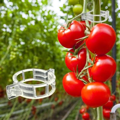 Močne vrtne sponke (300 kosov) | TOMACLI