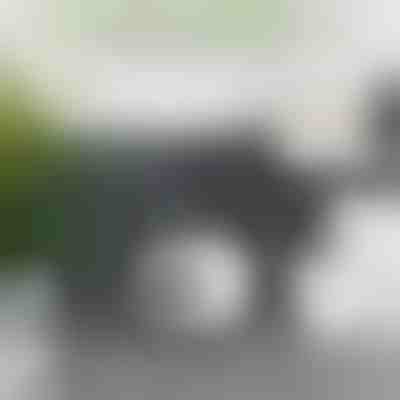 Iz rezervne rolice naredite dekoracijo – 16 cm | ROLLSHEEP